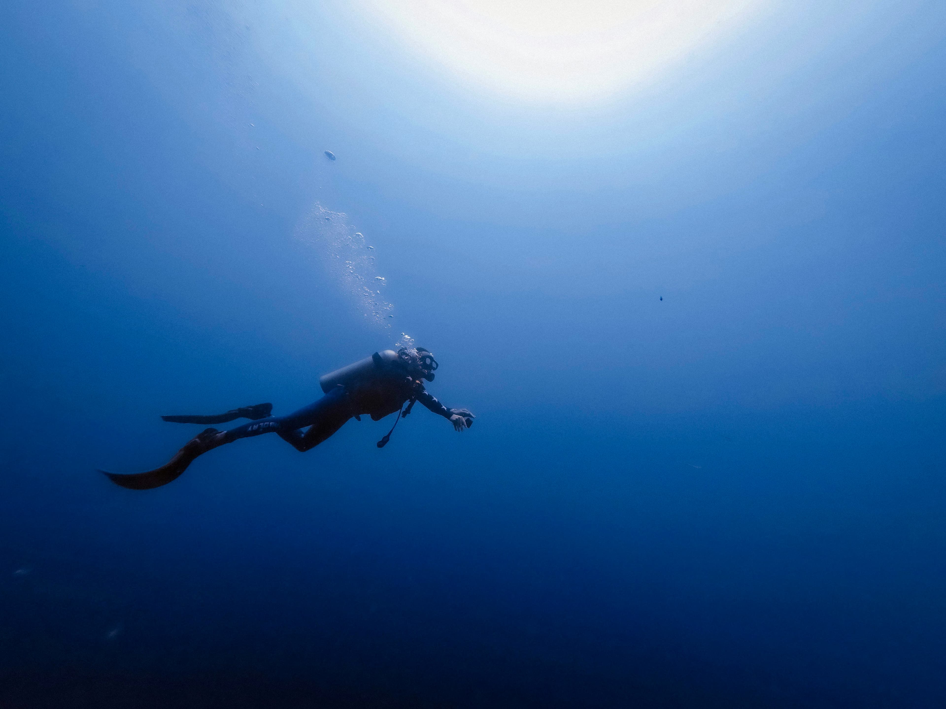 Philippines 2026 — New Year’s Reef & Island Bliss