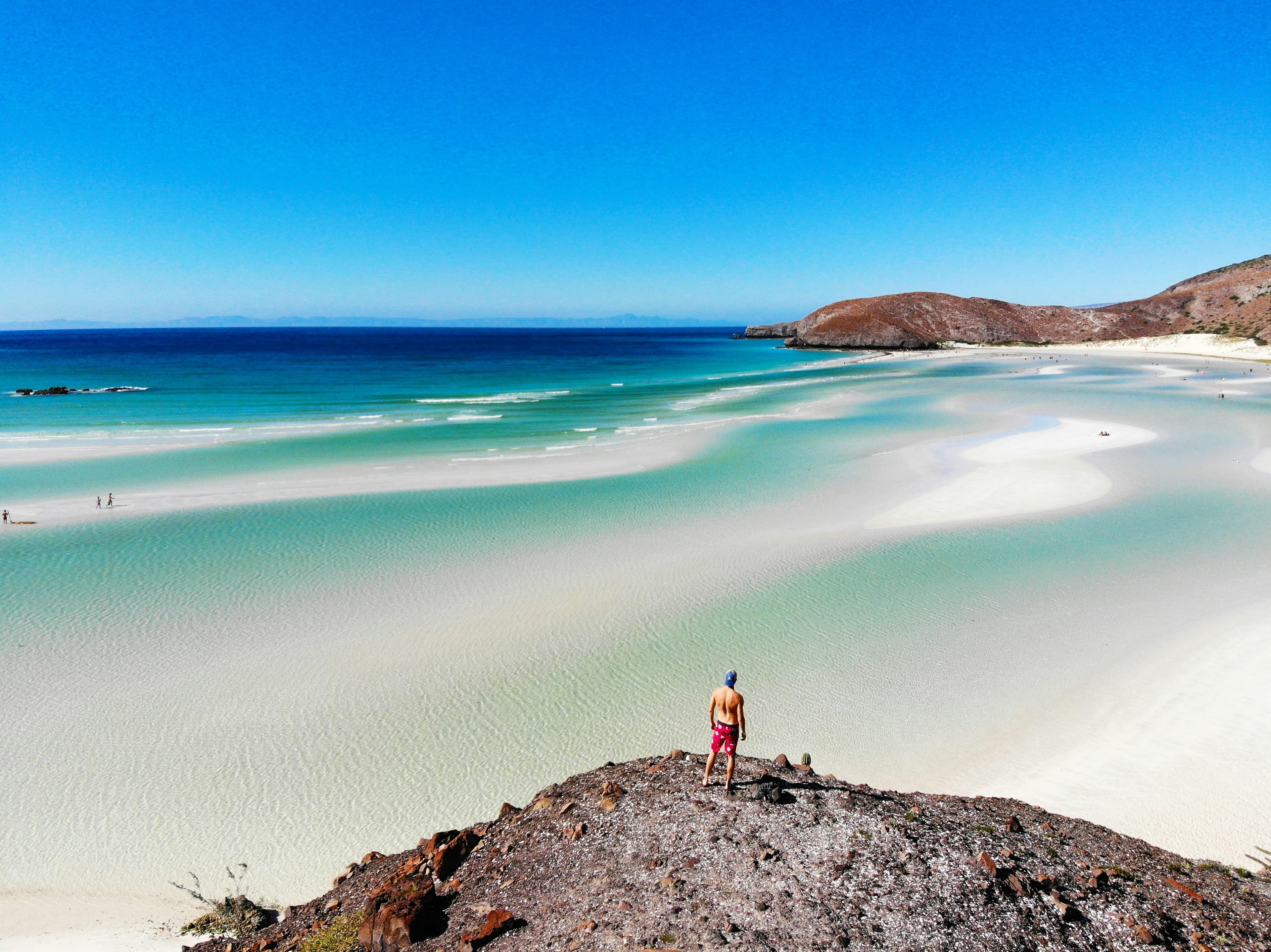 Sea of Cortez — La Paz Diving at Its Finest 2026