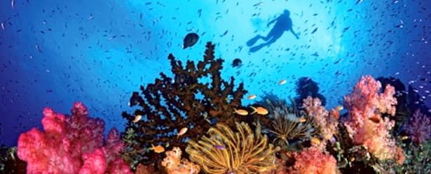 Turks & Caicos Liveaboard Adventure