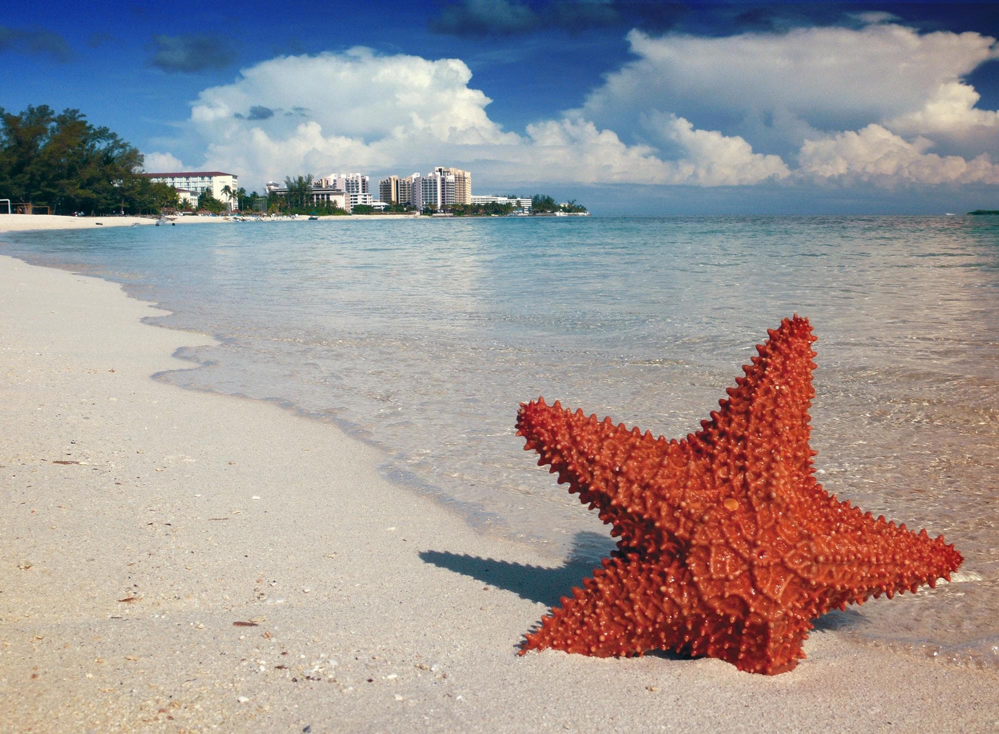 Bahamas: Liveaboard Diving the Exuma Cays