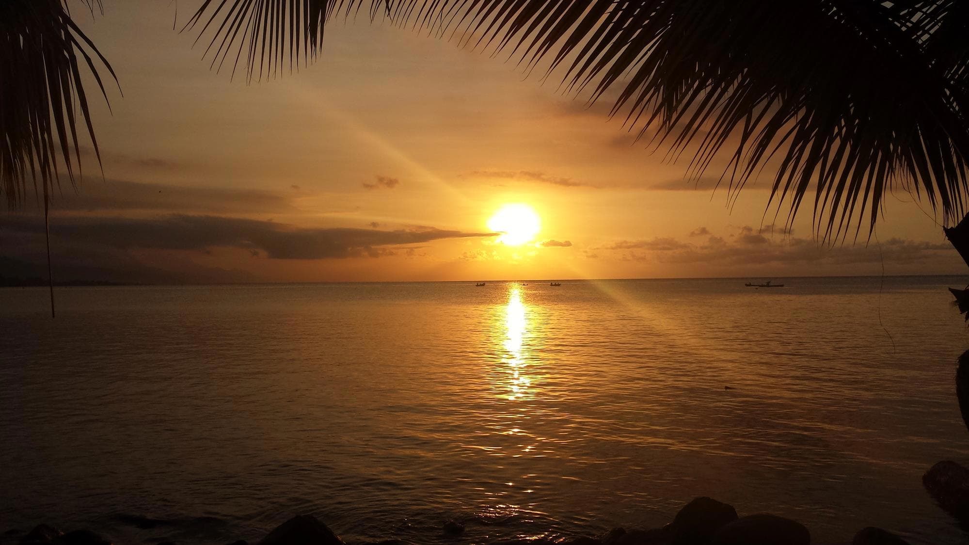 Roatan: Liveaboard Diving in the Bay Islands