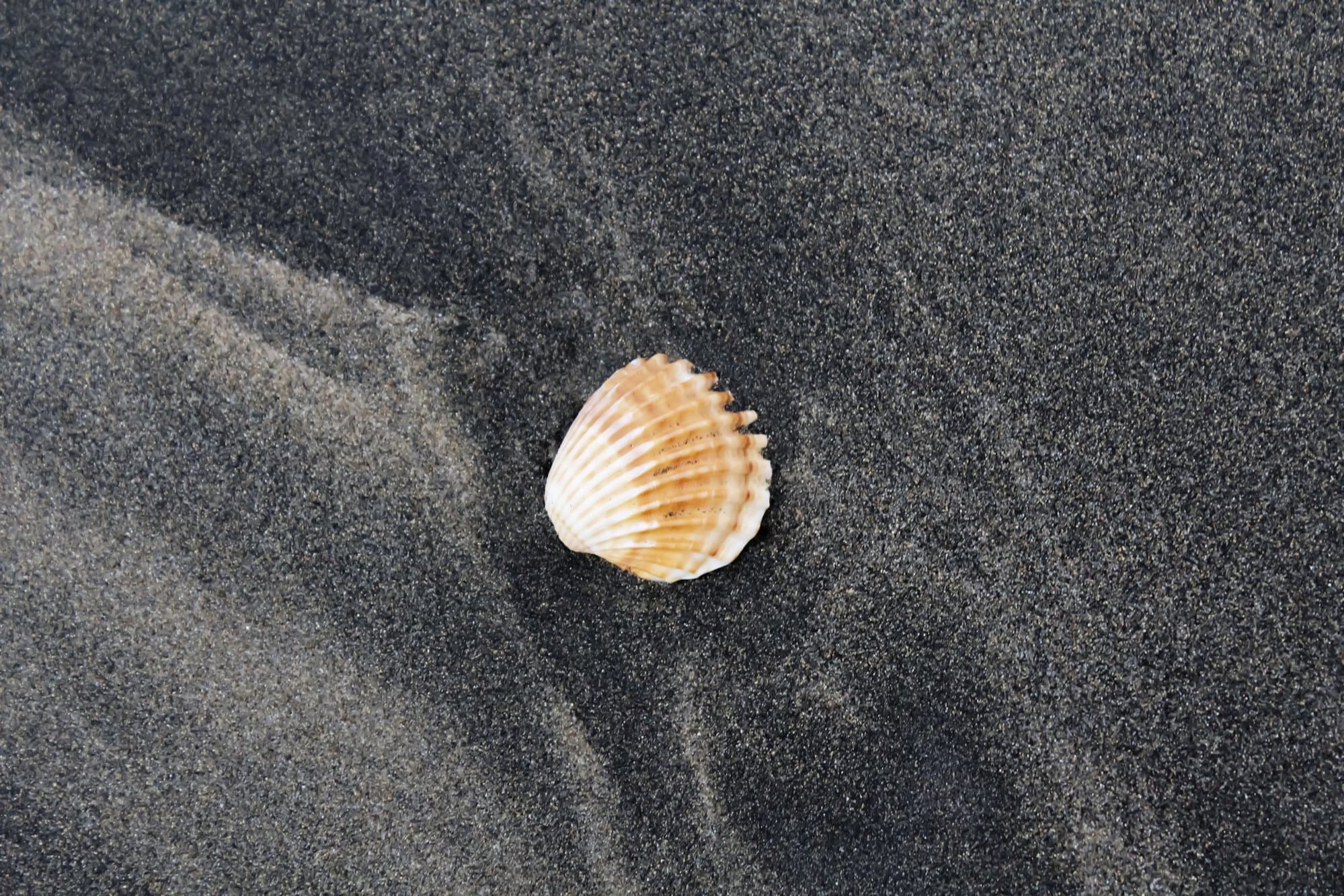 La Paz & Cabo: The Sea of Cortez